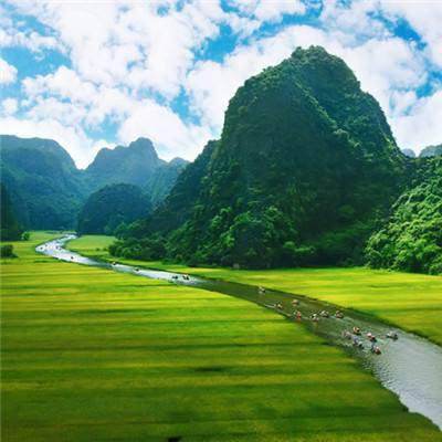 神医毒妃太嚣张